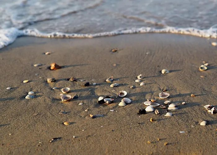 Perfect Flat With Large Terrace Apartman Bibione